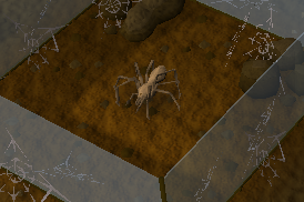 Spinne