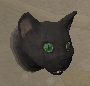 Bob