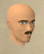 Hajedy