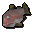 Rotauge