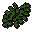 Seegras