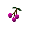 Kadavabeeren