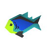 Regenbogenfisch