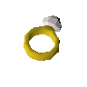 Ring des Lebens