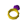 Ring des Reichtums