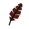 Rote Feder