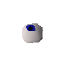 Wassermolchauge