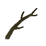 Weidenast