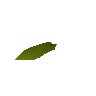 Weidenbaum-Samen