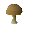 Bitterkappenpilz