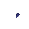 Blauer Rankenblütensamen
