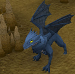 Babyblaudrache