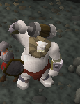 Chaoszwoger
