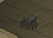 Spinne