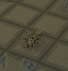 Gruftspinne
