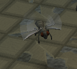 Entstellte Fliege