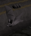 Albinofledermaus