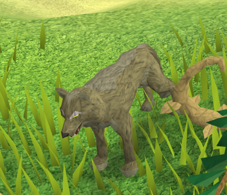 Dschungelwolf