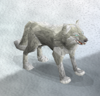 Eiswolf