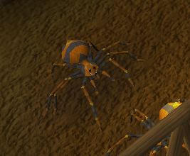 Fieberspinne