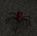 Giftspinne