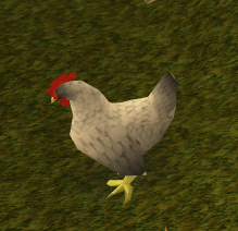 Huhn