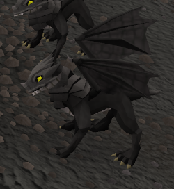 Babyschwarzdrache