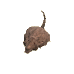 Pökelratte