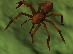 Riesenspinne