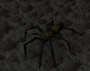 Schatten-Spinne