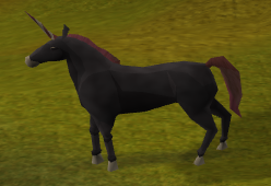 Schwarzes Einhorn