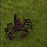Skorpion