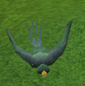 Vogel