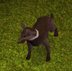 Wachhund