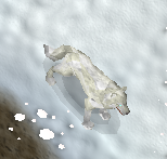Weißer Wolf