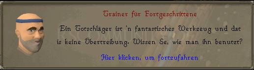 Trainer für Fortgeschrittene