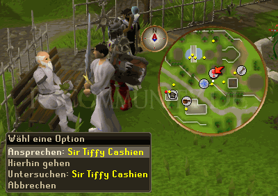 Sir Tiffy Cashien im Park von Falador mit Minimap