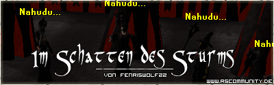 Banner: Im Schatten des Sturms