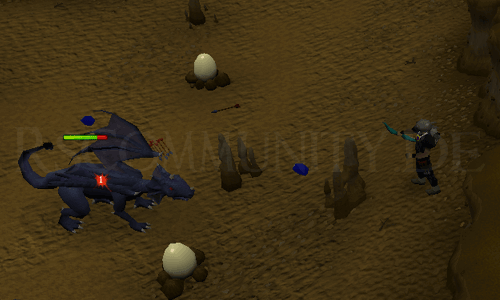 Blaudrache