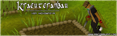 Banner: Geldverdienen via Kräuteranbau