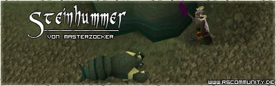 Banner: Steinhummer