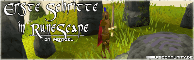 Banner: Erste Schritte in Runescape