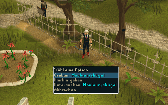 Maulwurfboss Eingang